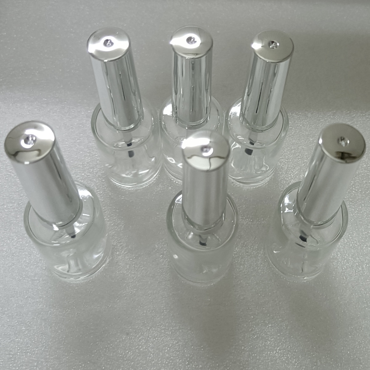 Nail Fan Brush - 13ml 6 stuks glazen nagellakflesjes met