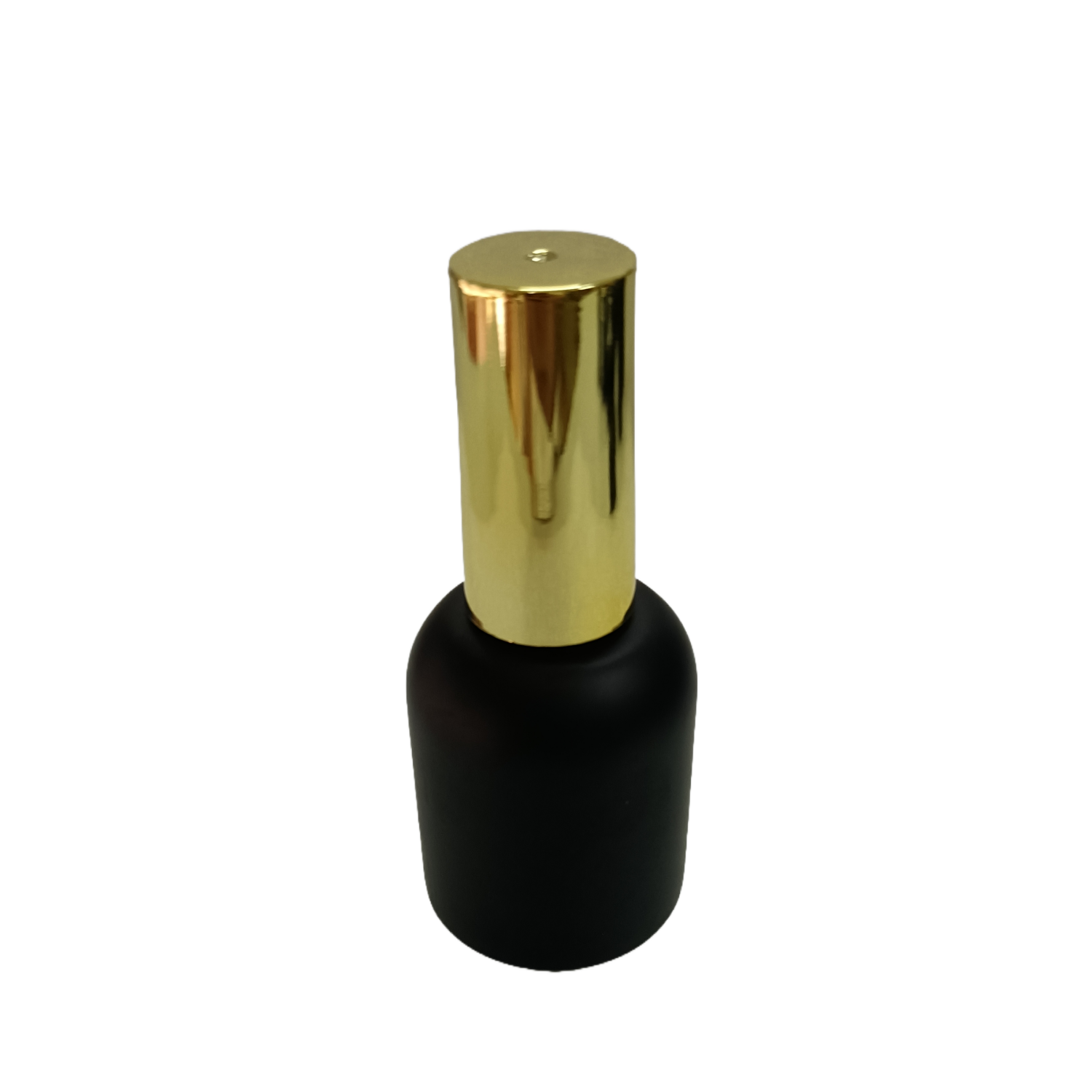 20ML 5 stuks lege zwarte glaze - Nail Fan Brush recensie en prijs